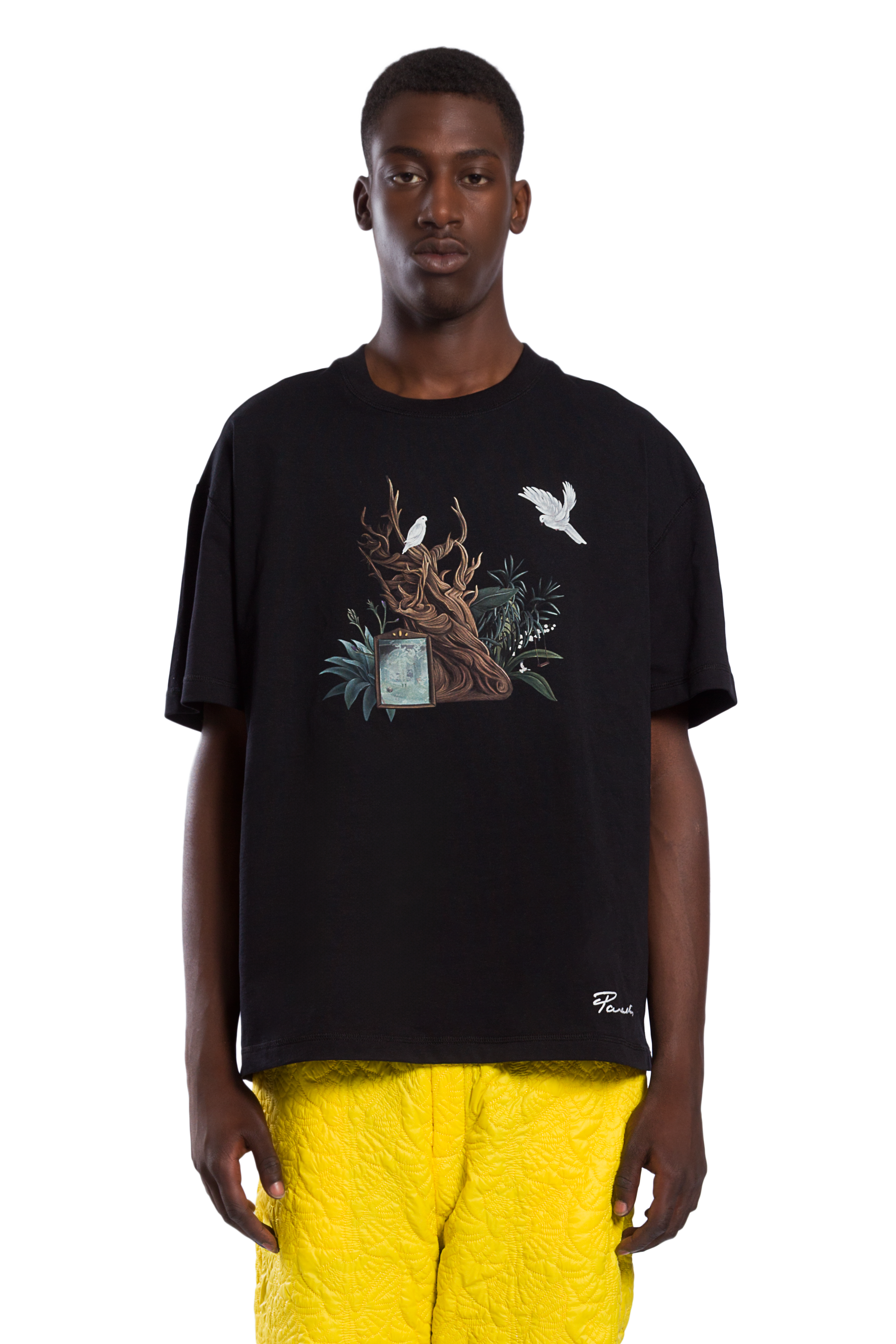 ANA OLD TREE T-SHIRT