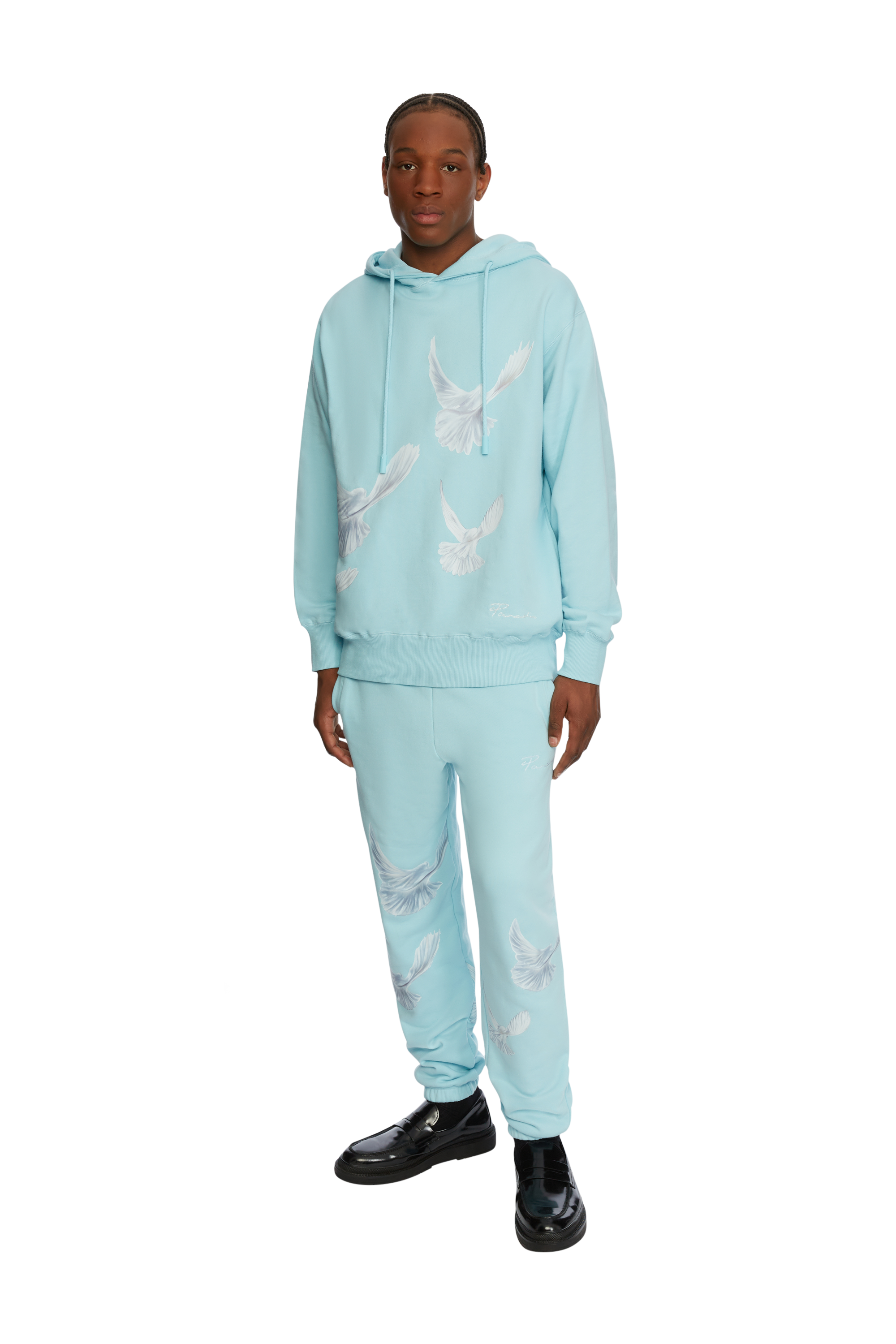 SINGING DOVES SKY BLUE HOODED SWEATER