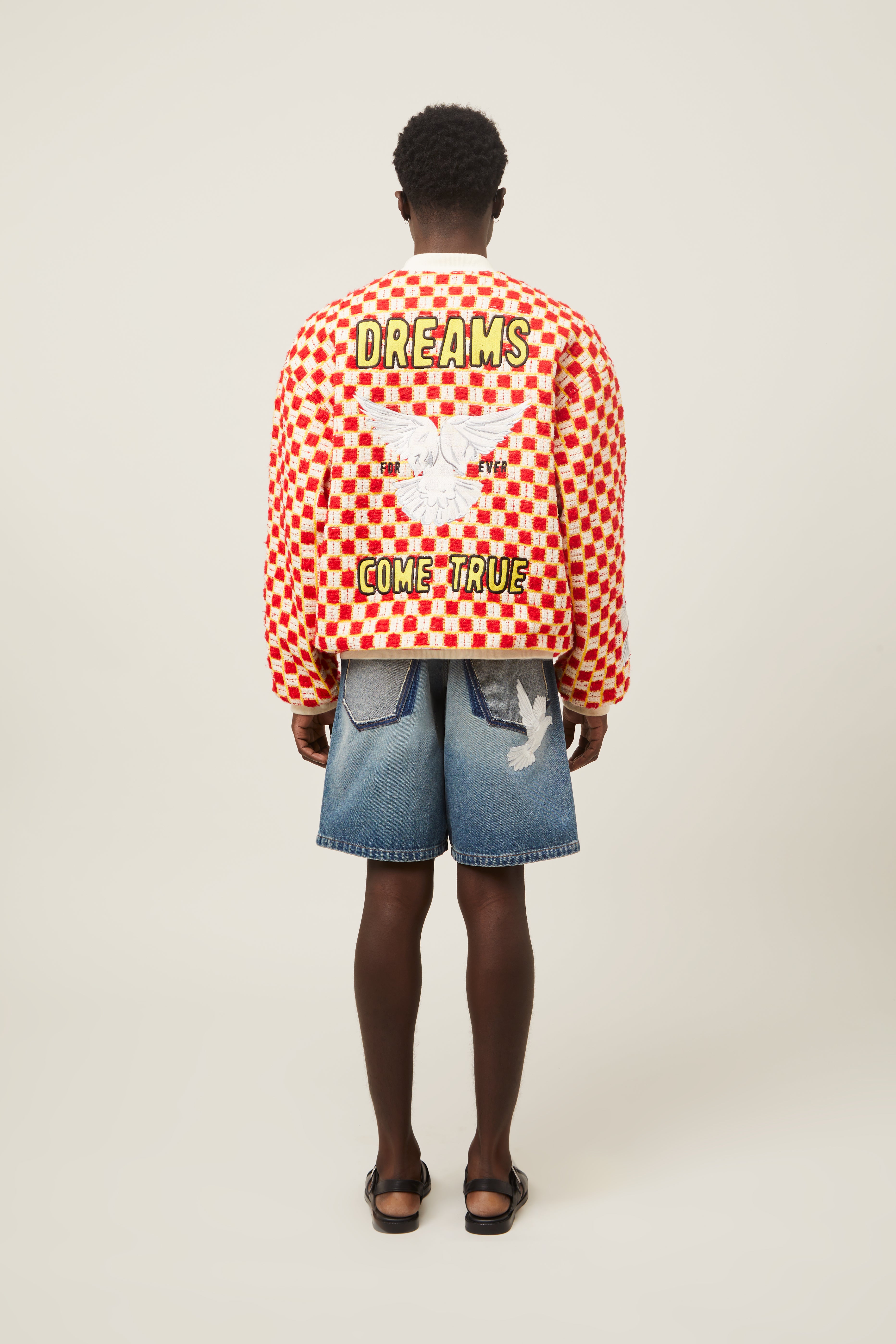 Damier Varsity Jacket