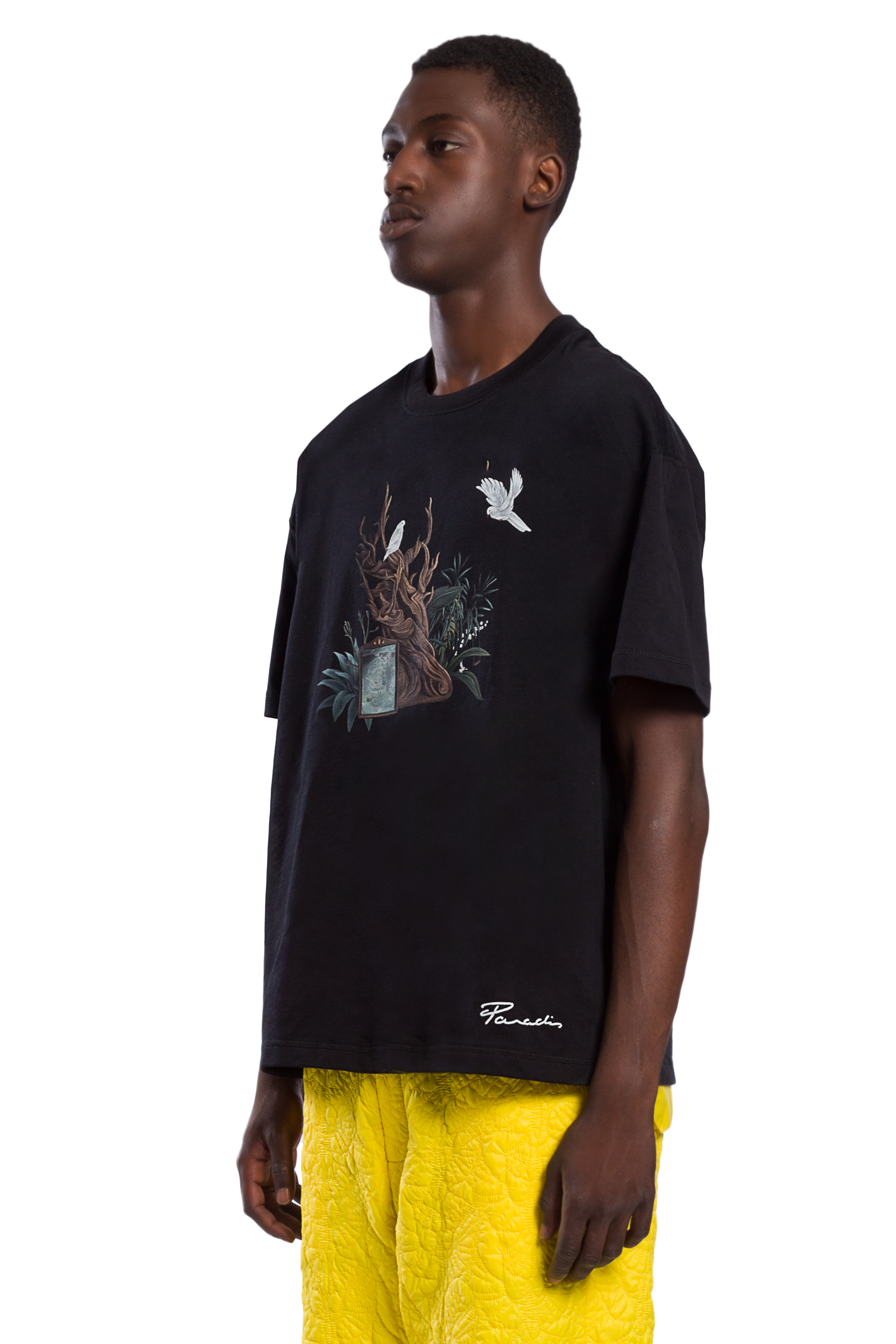 ANA OLD TREE T-SHIRT