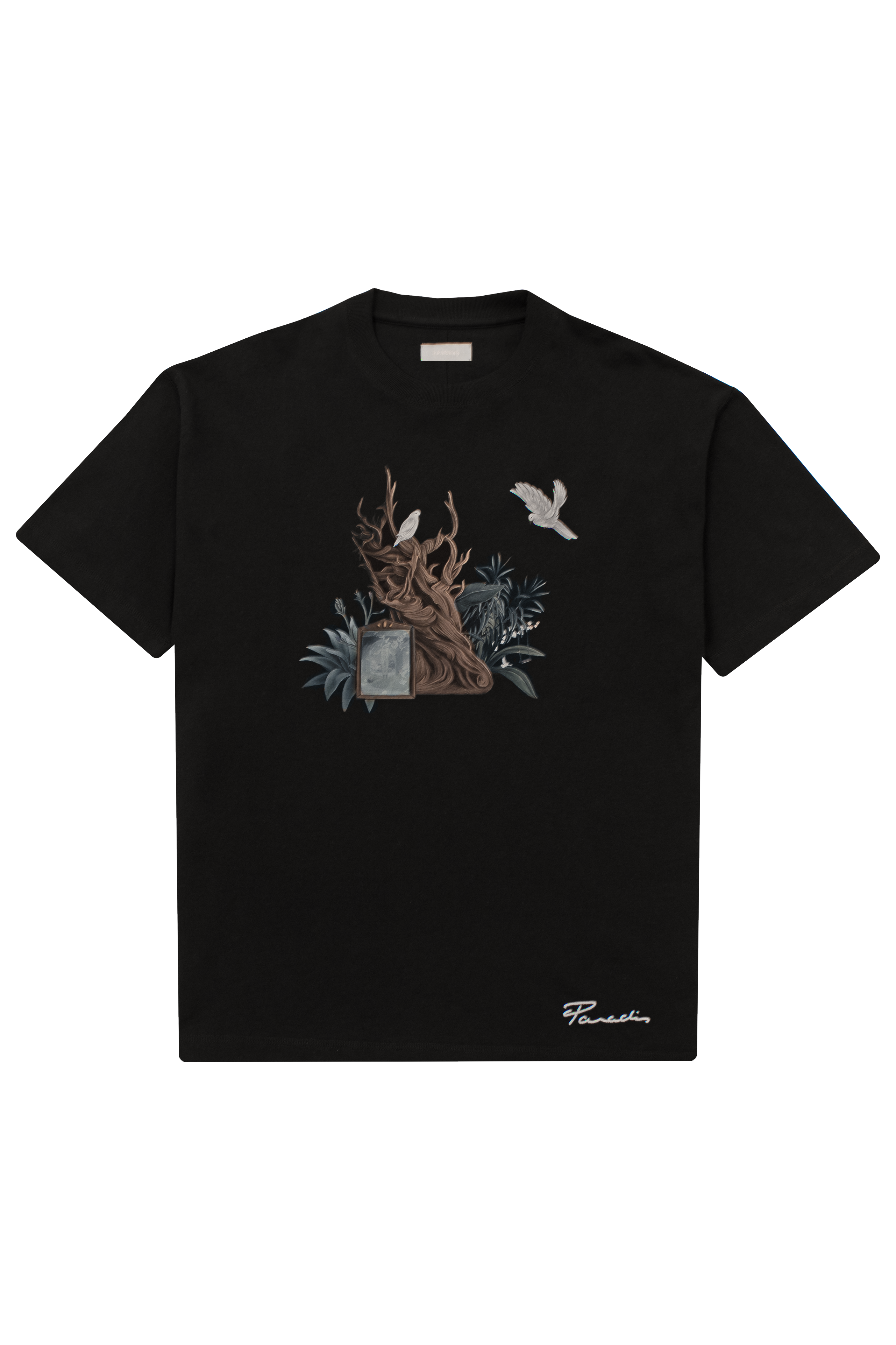 ANA OLD TREE T-SHIRT