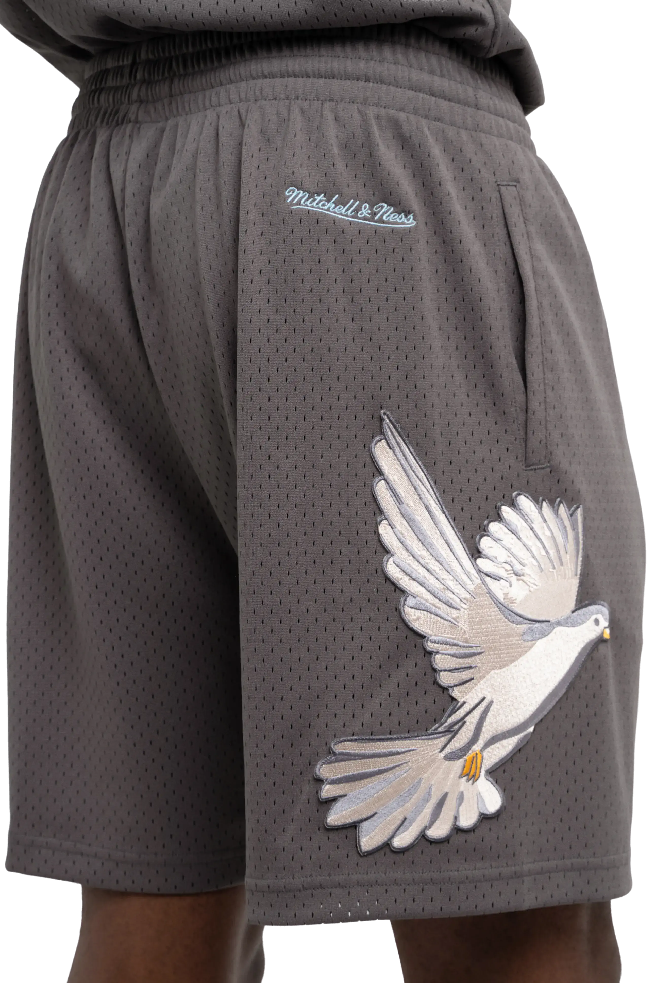 3.PARADIS, Mitchell & Ness and The NBA : PARADIS Shorts