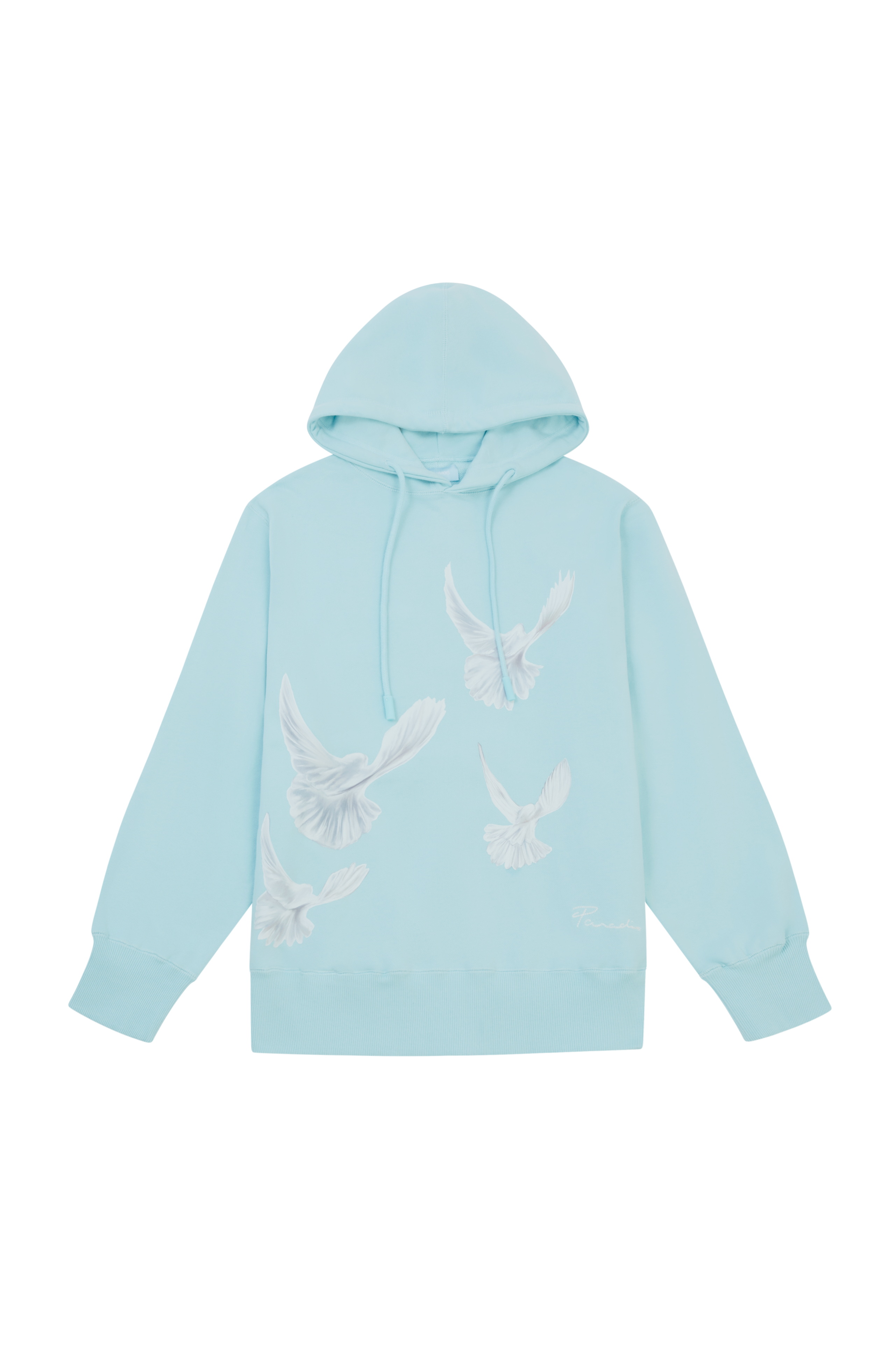 SINGING DOVES SKY BLUE HOODED SWEATER