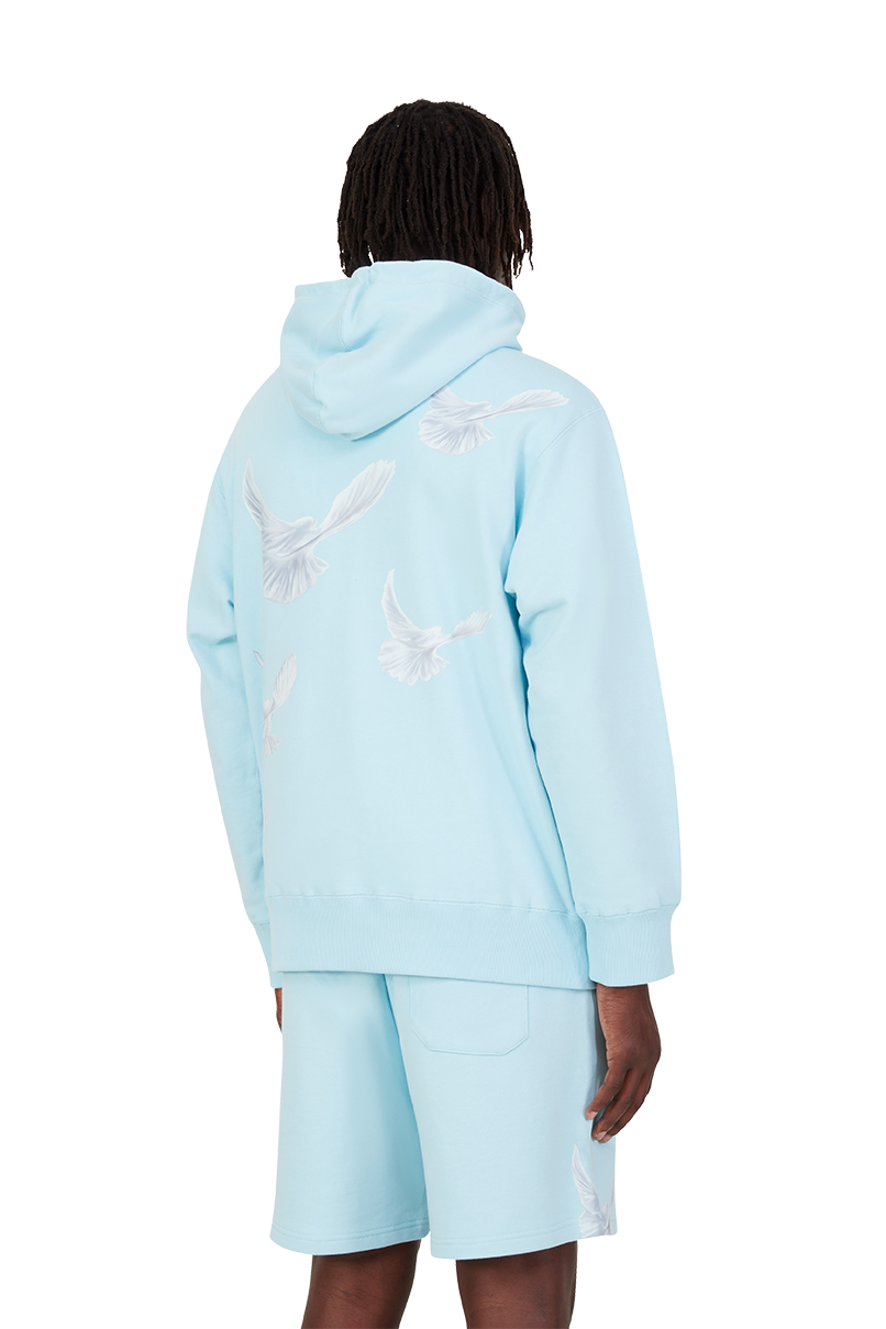 SINGING DOVES SKY BLUE HOODED SWEATER